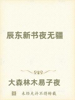 辰東新書(shū)夜無(wú)疆